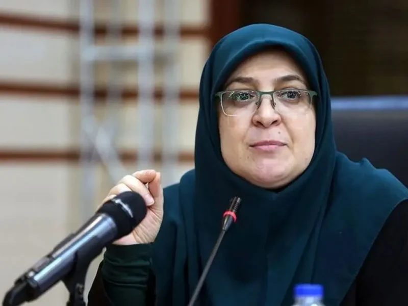 مهاجرانی: تصمیم نهایی درباره بنزین پس از جمعبندی به مردم اعلام میشود