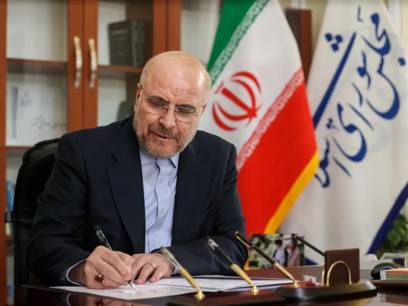 تداوم قهرمانی‌های کشتی ایران، روایت ملتی است که قهرمان می‌پرورد